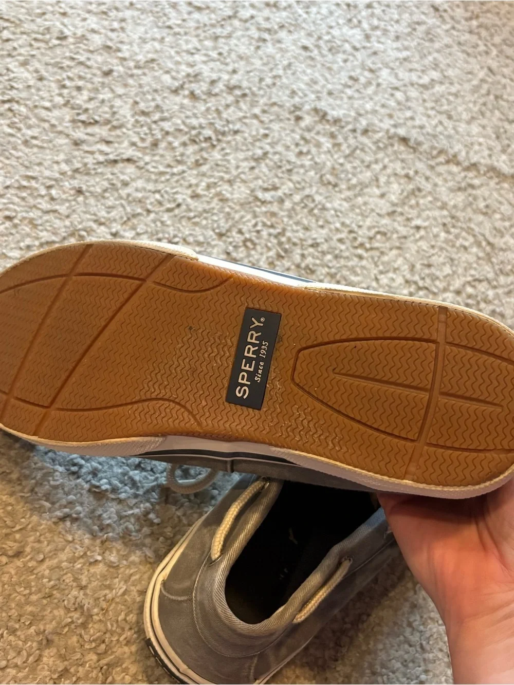 Sperry men’s canvas